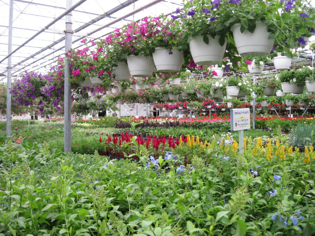 Gardening Center | Doebel's Flowers